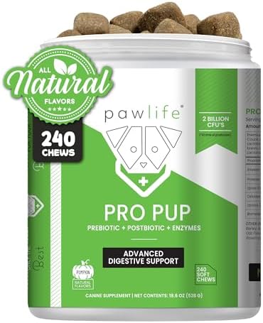 Probiotics for Dogs – Diarrhea Relief, Gut Health Support, Constipation Relief, Digestive Health Support – Vet Recommended Dog Probiotics – 240 Soft Chews that Dogs Love – Pumpkin Flavor