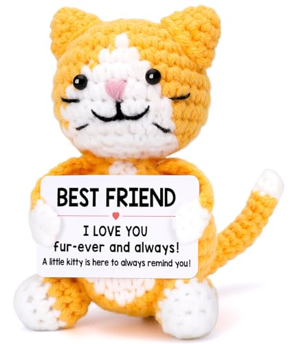 Funny Cat Best Friend Friendship Galentines Day Gifts for Women Men, BFF Bestfriend...