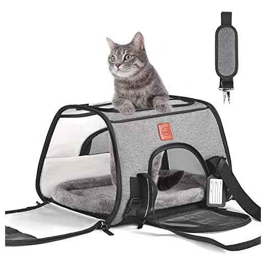 KYG Transportadora para Gato Perro Pequeño Portador de Viaje para Mascotas Bolsa Plegable de Transporte en Tren, Auto, Avión