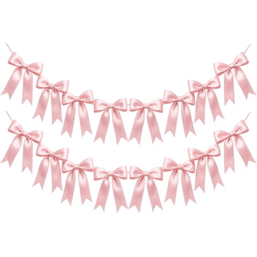 Vesavifaka 2 pièces bannière de Guirlande de nœuds Roses, Rubans en Satin Rose préassemblés, décoration de fête pour Anniversaire, Enterrement de Vie de...
