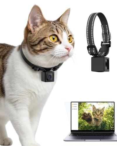 PaxsreeKam Cat Camera Collar 1080P HD Be Your Cats Eye Pet POV Action Cam with Night Vision No WiFi No App XS-Size Collar Pet Camera for Cats & Small Dogs (Micro SD Card NOT Included)