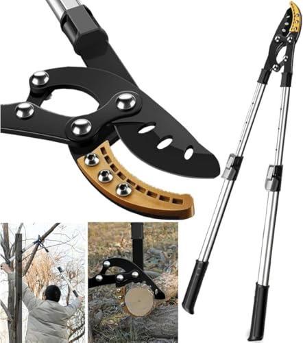 BLINGOOD } } y Lk ȗ͉| Onh (Lk^Cv) [sAi]