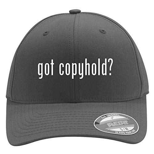 got Copyhold? - Men's Flexfit Baseball Cap Hat, Silver, Small/Medium