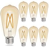 ST19 Filament Amber Glow Vintage Edison Light Bulb Filament Bulb 5W with Amber Glass, 90+ High CRI, Dimmable 2200K Amber White, E26 Medium Base, UL Listed