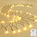 cshare String Lights Outdoor Waterproof 9.8ft 30 LED, Warm White Fairy Lights Battery Operated with Timer Clear Wire for Indoor & Outdoor Decorations Garland Party Garden