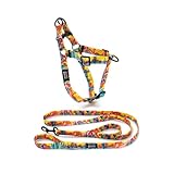 Wolfgang XL Harness and Dual-Handle Leash, PackLeader Print, Dog Bundle Set
