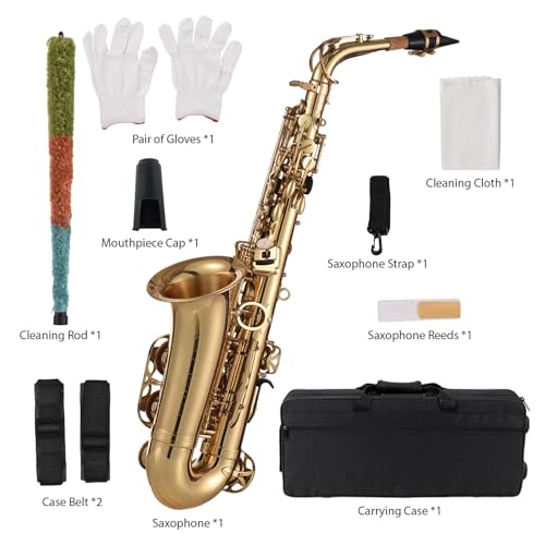 Sassofono contralto con accessori per musicisti