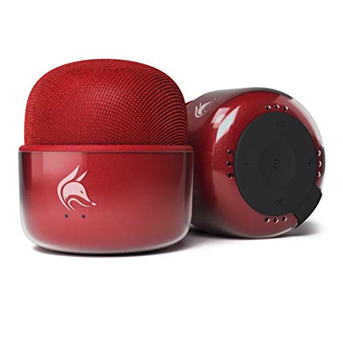 Mini Bluetooth Speaker with FM Radio  an Elegant Small Speaker with a Big 5W Sound. Wireless Speaker for iPhone, iPad, Smartphone. Pocket Size Portable (Red)