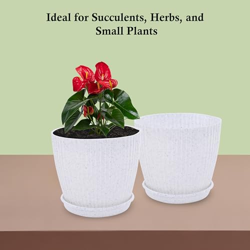 Image of Kuber Industries Plastic 8 Inch Pots for Plants with Tray | Planters for Home Decor, Living Room and Office | Indoor and Outdoor Flower Pots for Balcony and Terrace | Marble Mega - White