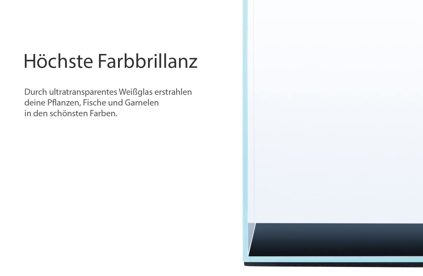 Q-Grow Nano Aquarium mit höchster Farbbrillanz 30 x 30 x 25, hochwertiges Weißglas Aquarium klein, Nanobecken - 22 l
