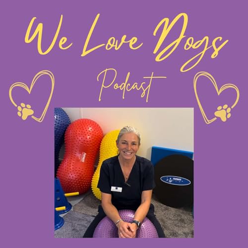 Saving Dogs from Silent Suffering - Interview With Tanya Sprunks on Canine Arthritis