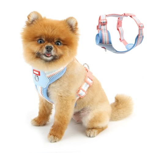 PAIDEFUL ���^�� ���^�� �n�[�l�X ���p���� ��������h�~ �P�����݌y�� �����\ ���p���t�g�n�[�l�X �y�b�g�p�i �P�� ���s�⏕ �U? ���L�ʗp ���E�ȒP �y�� �ʋC�� ���K D�����O,�u���[,M