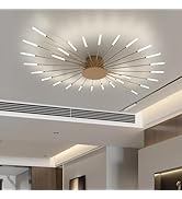 Ceiling Light Modern LED Ceiling Lamps,Flower Shape Ceiling