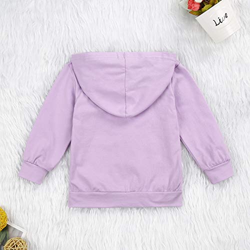 0-6T Toddler Baby Boy Girl Zipper Hoodies Sweatshirts Solid Pullover Shirts Tops Kids Fall Winter Cloths With Pocket (Purple, 4T-5T) #TOP2