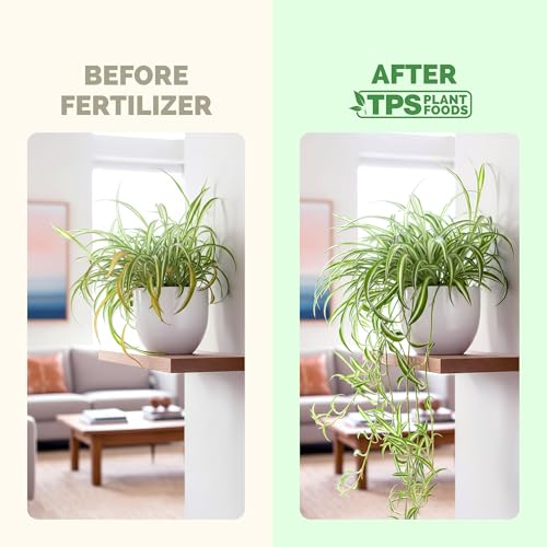 Fertilizante Líquido para Planta Araña 8 oz miniatura 3