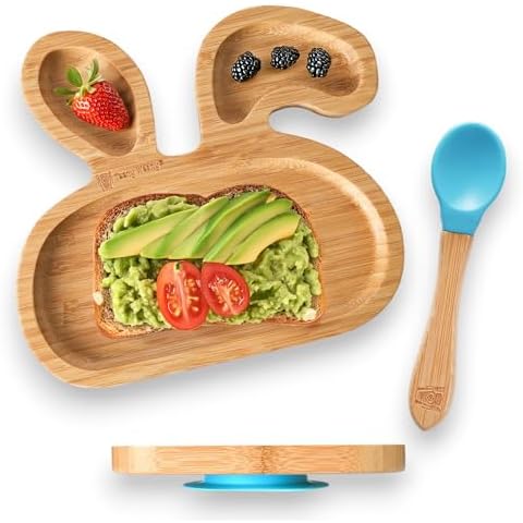 Teeny Weany Bamboo Toddler Plates with Suction Cover