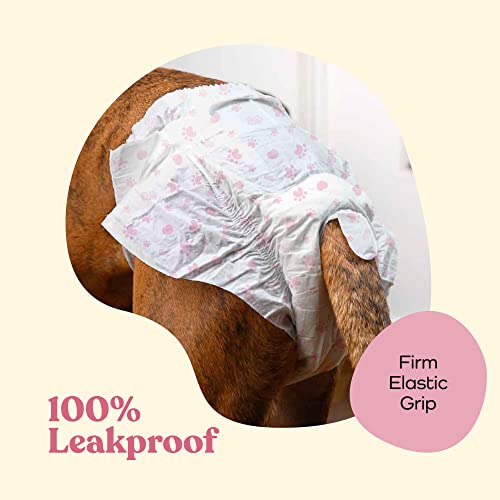 Image of Comfortable Female Dog Diapers - 24-Pack Super Absorbent Disposable Doggie Diapers - FlashDry Gel Technology & Wetness Indicator - Leakproof Diapers for Dogs in Heat, Excitable Urination, Incontinence