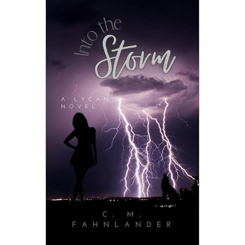 Into the Storm Audiobook By C. M. Fahnlander cover art