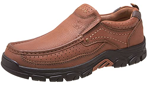 CAMEL CROWN Y [t@[ Xb| [t@[ U[ JWA EH[LO V[Y K d ItBX hX AEghA, bhuE4050, 12.5