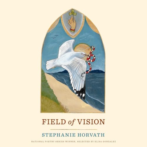 Field of Vision cover art