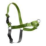 PetSafe Easy Walk Harness,  Large, APPLE GREEN/GREY for Dogs