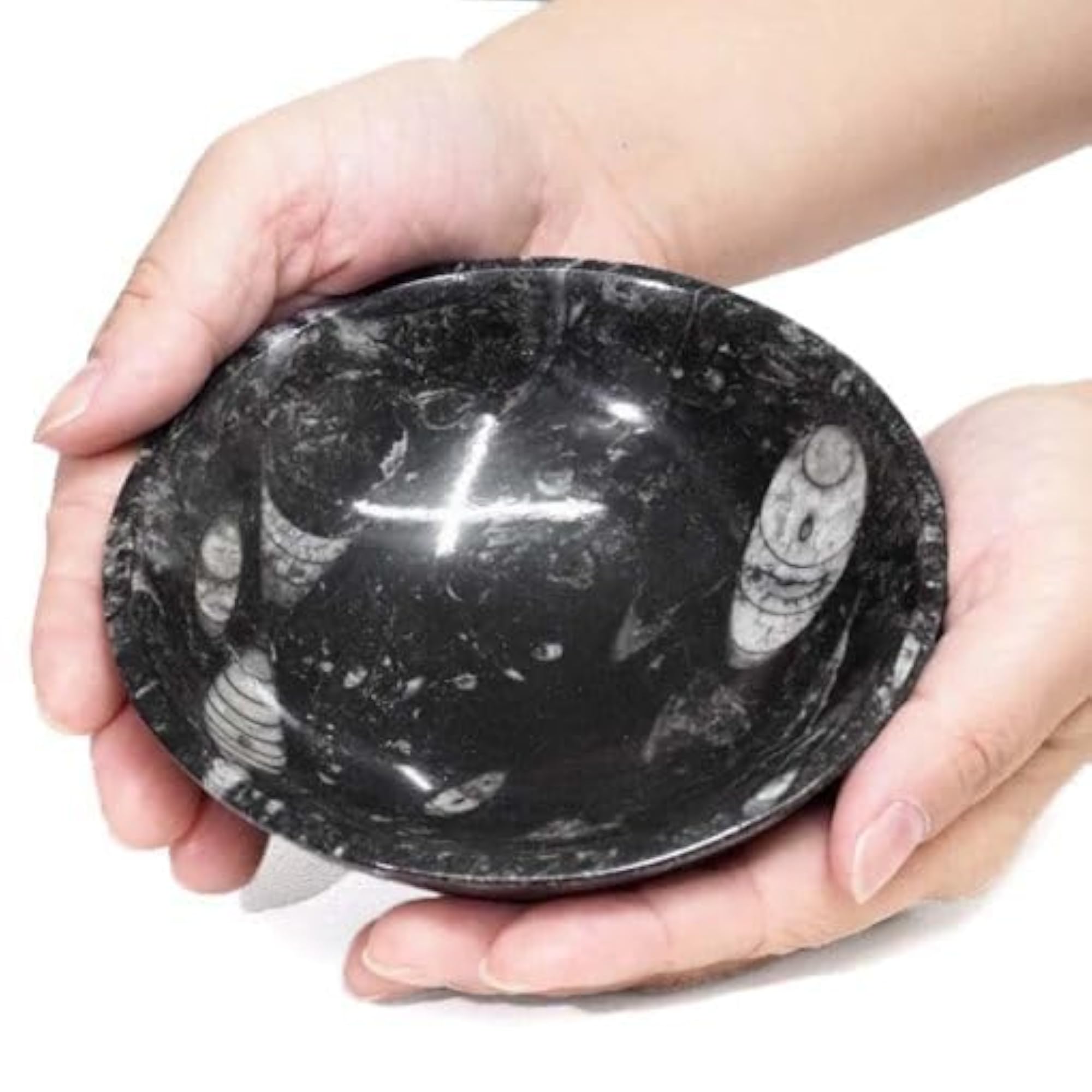 Natural Orthoceras Kuber Crystal Bowl for Prosperity