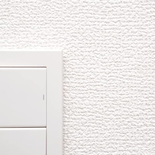 ǎ{ ǎ ̂t D x[W  NX VS2016 ؂蔄 P y󒍐YiLZsz