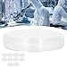 Glass Petri Dishes, Biochemical Laboratory Instruments, Borosilicate Petri Dishes with Lids, Pack of 10