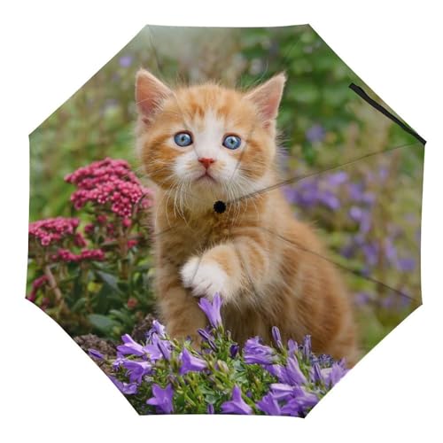 Parapluie compact chat pour ne plus être surpris par la pluie soudaine