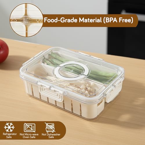 Image of HOKIPO BPA Free Plastic Fridge Storage Containers with 2 Partition & Lid - Crisper Containers for Fresh Vegetables, Fruits & Food | Freezer & Kitchen Organizer Set for Home Use (AR-6103)