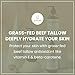 Practicality Orange You Happy Tallow Lotion | Grass Fed Beef Tallow for Skin | All Skin Types | 8.0 Fl Oz | 1 Pc
