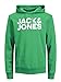 Produktbild JACK & JONES Herren JJECORP LOGO Sweat Hood, Island Green/Large Print/W Wh, M