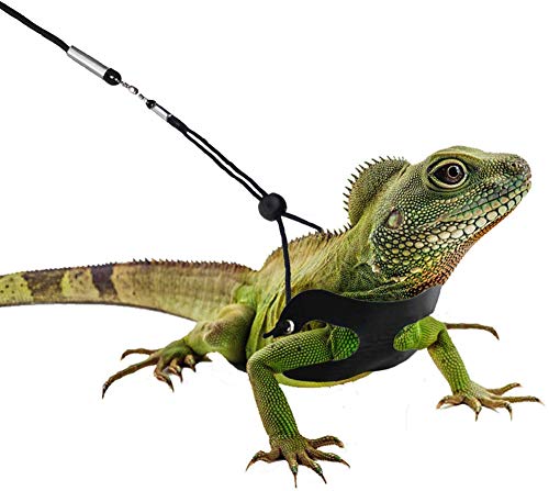 Image of 3 Packs Bearded Dragon Harness and Leash Adjustable(S,M,L) - Soft Leather Reptile Lizard Leash for Amphibians and Other Small Pet Animals (Black)