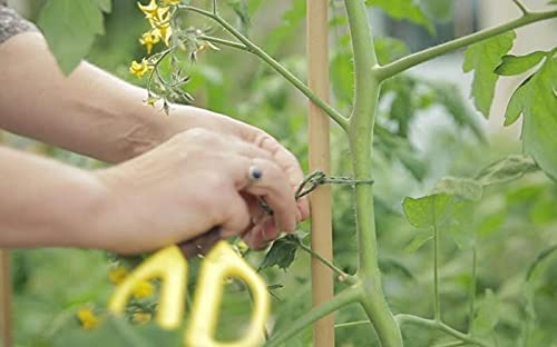 LINGWEI Bamboo Poles Garden Stakes Platn Support Stakes Bamboo Stakes For Indoor Plants and Outdoor (60cm (10pcs))