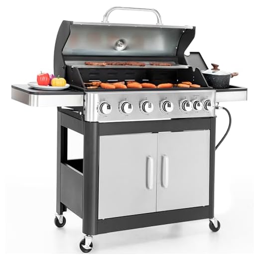 Sophia & William 6-Burner Propane Gas BBQ Grill with Side Burner & Porcelain-Enameled Cast Iron Grates, Stainless Steel Barbecue Grills Outdoor Cooking for Outside, 665 SQ.IN. Cooking Area, 65,800BTU
