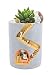 Segreto Creative Plants Flower Pots Brush Pots Ornaments for Succulent Plants Pot Decorated Desk,Garden,Living Room with Sweet Hedgehog Family