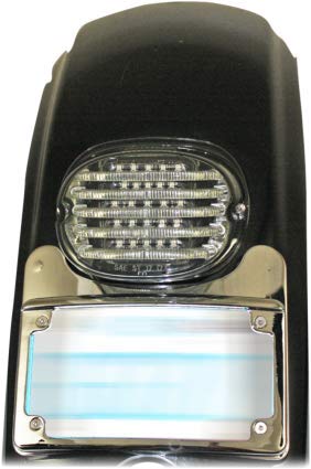 Custom Dynamics Turn Signal Eliminator Kit™ for Harley Touring Models - Chrome LED illuminated, curved license plate frame and tail light mount (CD-TS-ELIM-C)