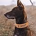 PET ARTIST Personalisierte PU Leder Hundehalsband für Mittlere Große Hunde Stilvoll und Bequem; Geeignet für Mädchen und Jungen Hunde, Braun M