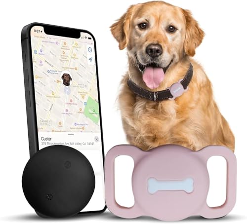 Lnicez Hunde-Tracker für iOS mit Find My