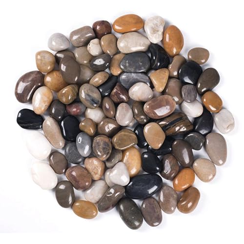 2000g Galets Naturelsdecoratif Poli, 2-4 cm Petit Cailloux Decoratif pour Plante, Galets de Rivière Pierres Polies Décoratives Naturelles pour Aquarium Vase Jardin Plantes (Multicolore, 2-4 cm)
