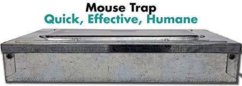 Janico 9202 Repeather Multiple Catch Mouse Trap (1) #TOP1