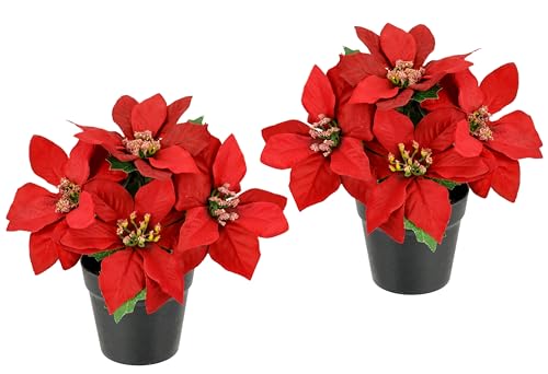 Künstliche Blume Poinsettie im Topf 17cm Weihnachtsstern Christstern...