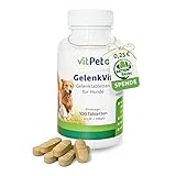 VitPet+ GelenkVit - Gelenktabletten Hund - Mit Grünlippmuschel Hund, Teufelskralle, MSM, Kurkuma und Kollagen - 100 Gelenktabletten für Hunde - Premium Inhaltsstoffe - Made in Germany