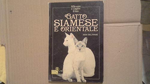  Gatto siamese e orientale
