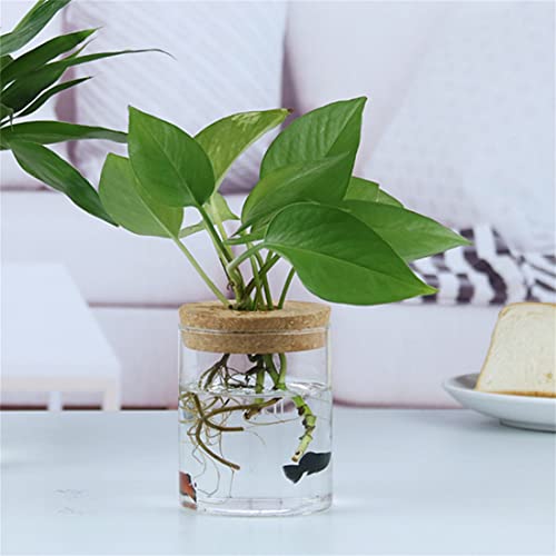 Cnyejqjc BNSD Glass Planter Vase With Wooden Lid And Bamboo Stand thumb #2