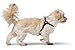 Hunter Hundegeschirr SOHO MINI, Farbe: schwarz, Rindsleder, weich & geschmeidig, fellschonend, leicht, für kleine Hunde & Welpen, Made in Germany, Größe: XS