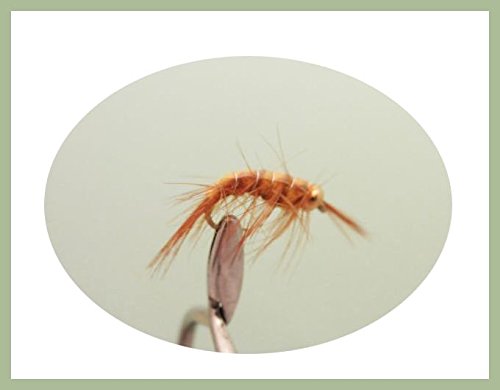 Gold Head Shrimp Fishing Fly, 6 Pack, Choice of Sizes, Fly Fishing, Trout or Salmon