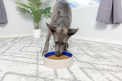Ethical Spot Keramik-Napf aus Steingut, für mittelgroße und große Hunde, klassisch, robust, rutschfest, Keramiknapf für Futter und Wasser, 24,1 cm Durchmesser