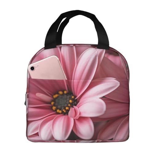 Dahlia Pinnata�v�����g�����`�{�b�N�X�R���e�i�ė��p�\�ȁA�d��