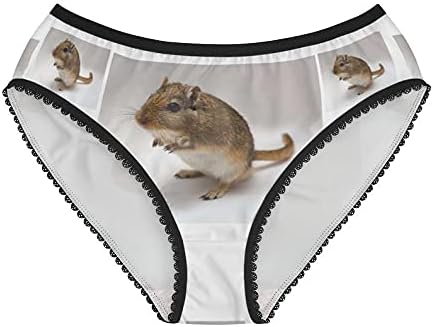 SpreadPassion Jerboa Shot Panties, Jerboa Shot Underwear, Briefs, Cotton Briefs, Funny Underwear, Panties For Women